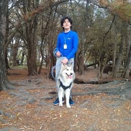 Jossmar avatar