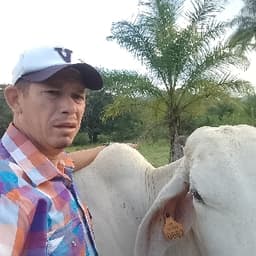 Carlos avatar
