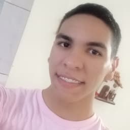 Leonardo avatar