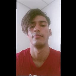 Mauro avatar