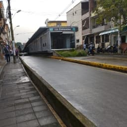 Viviana avatar