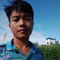 Dip avatar
