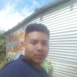 Luis avatar