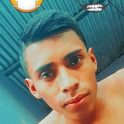 241147 avatar