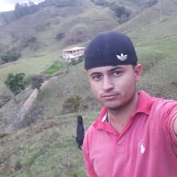 Alejandro avatar