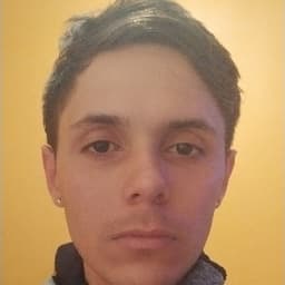 David avatar