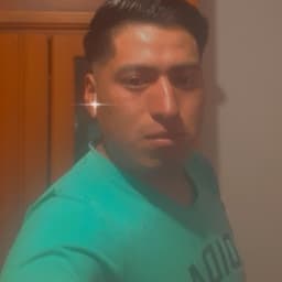 David avatar