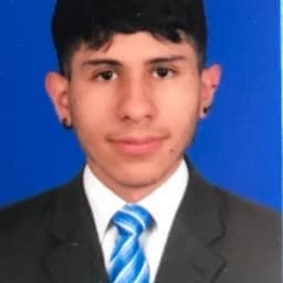 David avatar