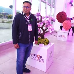 Luis avatar