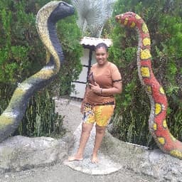 Brenda avatar