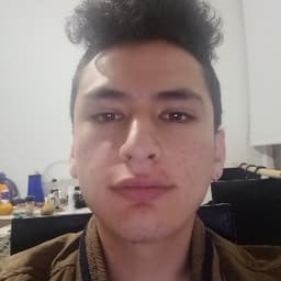 David avatar
