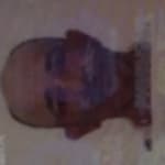 Mark avatar