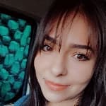 Lilivet avatar
