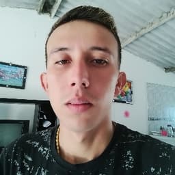 478831 avatar
