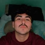 Daniel avatar