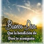 Jose avatar