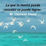 Domenica avatar