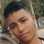 Nolber avatar