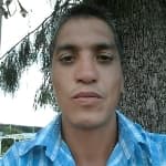 David avatar