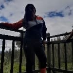 Francis avatar