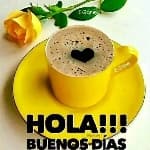 Flor avatar