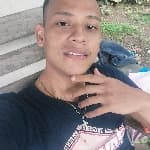 Eduardo avatar