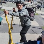 Luis avatar