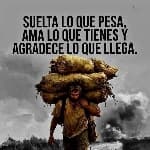 Máximo avatar
