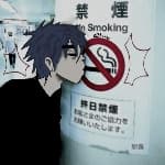 David avatar