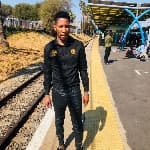 Maphetophillemon avatar