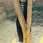 Himanshi avatar