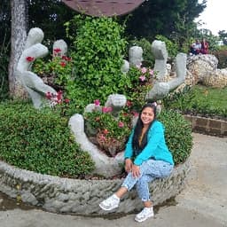 Dina avatar