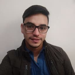 Leyden avatar