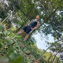 Aimer avatar
