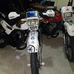 Gonzalo avatar