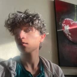 Cristian avatar
