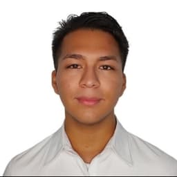 Leonardo avatar
