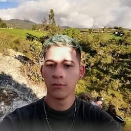 Lerman avatar