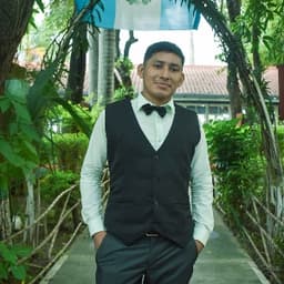 Ludin avatar
