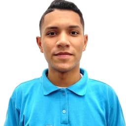Leonardo avatar