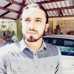 Fernando avatar