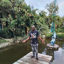 David avatar