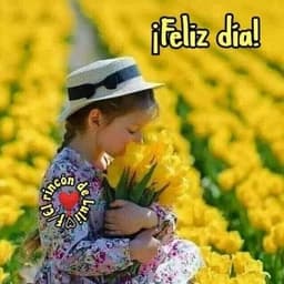 Aracely avatar