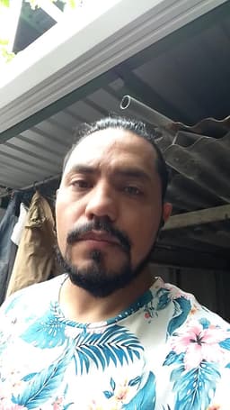 Elmer avatar